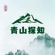 青山探知抖音达人头像