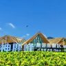 神鹿峰旅游度假区官方号抖音达人头像