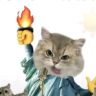 猫喵教大祭司🐱抖音达人头像
