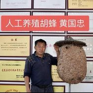 黄国忠马蜂养殖抖音达人头像