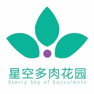 星空多肉园艺抖音达人头像