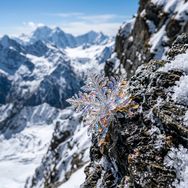 格桑花抖音号头像