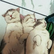 三只猫木匠（猫别墅工厂）抖音达人头像