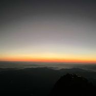 沃德抖音号头像