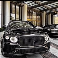 DONGHEHE顶奢男装抖音号头像