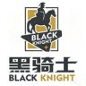 黑骑士汽车滤芯专卖店抖音达人头像
