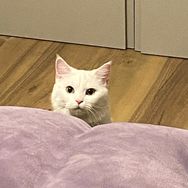 醒醒醒醒抖音达人头像