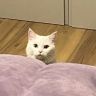 醒醒醒醒抖音达人头像