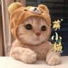 🐱萌小猫🎤¹⁰²⁴抖音达人头像