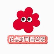 花点时间看合肥抖音达人头像