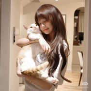 杭州宠物批发（全场300➕猫咪，一只批发抖音达人头像