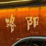 洛广科普抖音达人头像