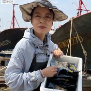 海肥王工厂店抖音达人头像