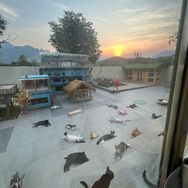 五月麻麻的小可爱们抖音达人头像