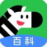 斑马百科直播号抖音达人头像