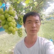 田文豪抖音达人头像