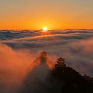 老君山胡子哥抖音达人头像