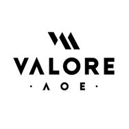 VALORE AOE官方旗舰店抖音达人头像