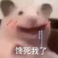 一顿吃五碗抖音达人头像
