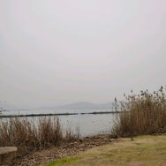 科普小白抖音达人头像