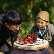 康仔农人抖音达人头像