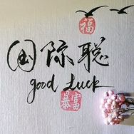 国际聪轻奢女鞋（只卖高端）抖音达人头像