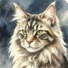 猫总抖音达人头像