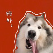 巴打的日常抖音达人头像