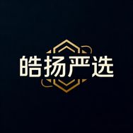 皓扬严选数码器材泰迅店抖音达人头像