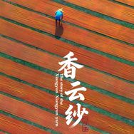 知心·香云纱抖音达人头像