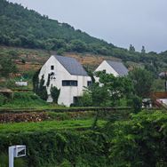 日照绿茶宣青茶厂抖音达人头像
