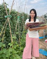 寿光顺天种苗基地抖音号头像