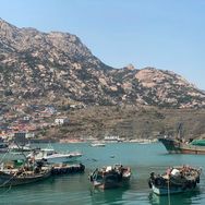 青岛味道海鲜抖音号头像