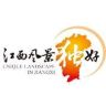 江西文旅抖音达人头像