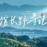 馆长野寻记抖音达人头像