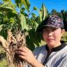 秋香大姐抖音达人头像