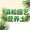 滇松腐殖土批发抖音达人头像