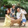 园周率夫妇抖音达人头像