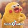 资深小狐狸抖音达人头像