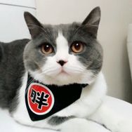 拆二代胖虎很嚣张抖音达人头像