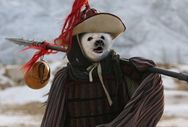 豹子头喵哥抖音达人头像