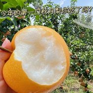 钟情果欧妙生鲜专卖店抖音达人头像