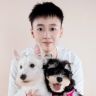 六六是只西高地抖音达人头像