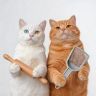 猫子柒抖音达人头像