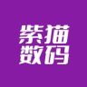 紫猫AI数码翻译直播间抖音达人头像