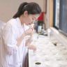 素心·茶器（海霞）抖音达人头像