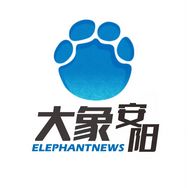 大象安阳抖音达人头像