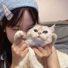 猫猫wink抖音达人头像