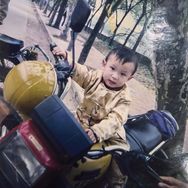 吴添豪_抖音达人头像