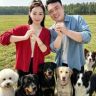 杨绿草的500只狗抖音达人头像